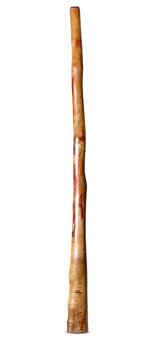 Tristan O'Meara Didgeridoo (TM400)